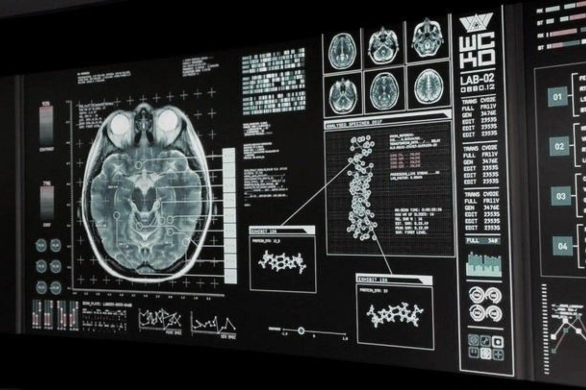 Higher Education Reform